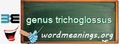 WordMeaning blackboard for genus trichoglossus